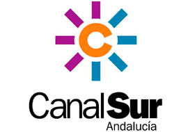 Finalistas Televisión 2016, Equipo de Redacción, Canal Sur TV